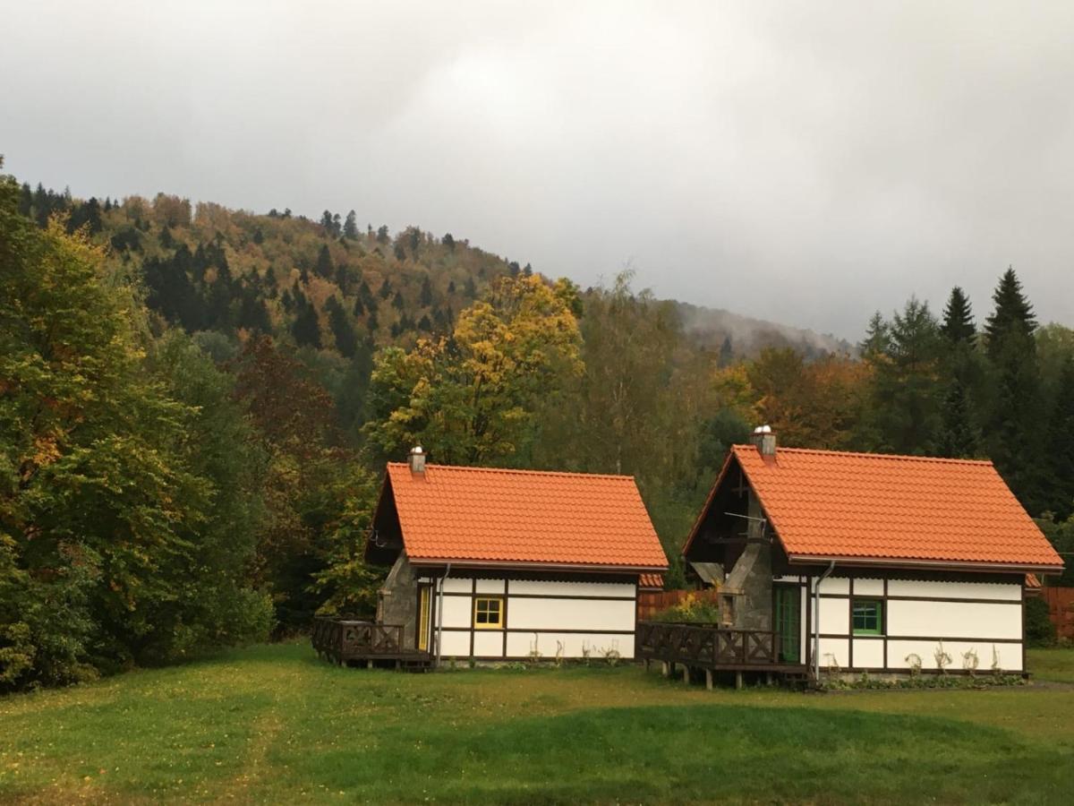 Domek alpejski Osada Bialy Wilk 