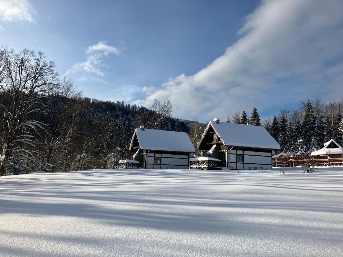 Domek alpejski Osada Bialy Wilk 